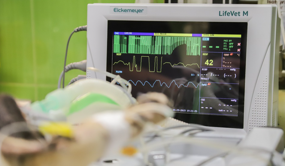 EMR Simulation Checklist for Healthcare Practice